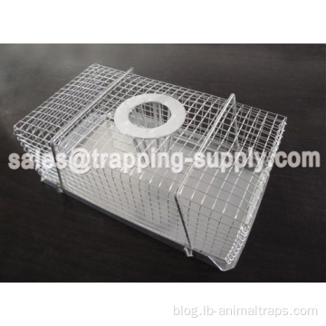 Humane Top-entry Mouse Trap Cage